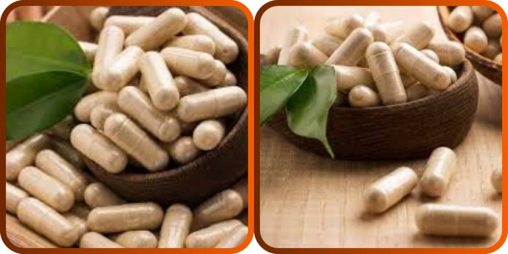 Nutraceuticals Third Party Manufacturers in India